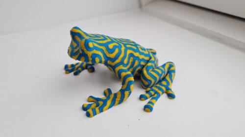 Presented is a picture of a 3D printed frog. The frog is about the size of an adult hand. The frog appears to have an organic line pattern all over its body, from the toes until its nose. The pattern consists of two equally thick lines. The colors of the line are blue and yellow.