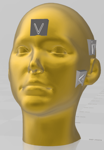 The model of a human head on which the V symbol was used to mark different regions such as nose, ears, cheek, etc.