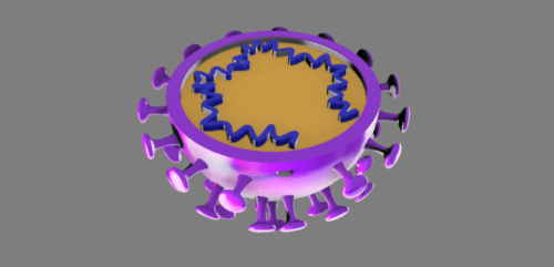 Virus with RNA