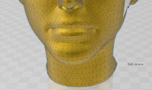 Detailed view of the 3d model of a head.
