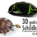 Two 3d printed turtles in natrual color and high-contrast colors.
