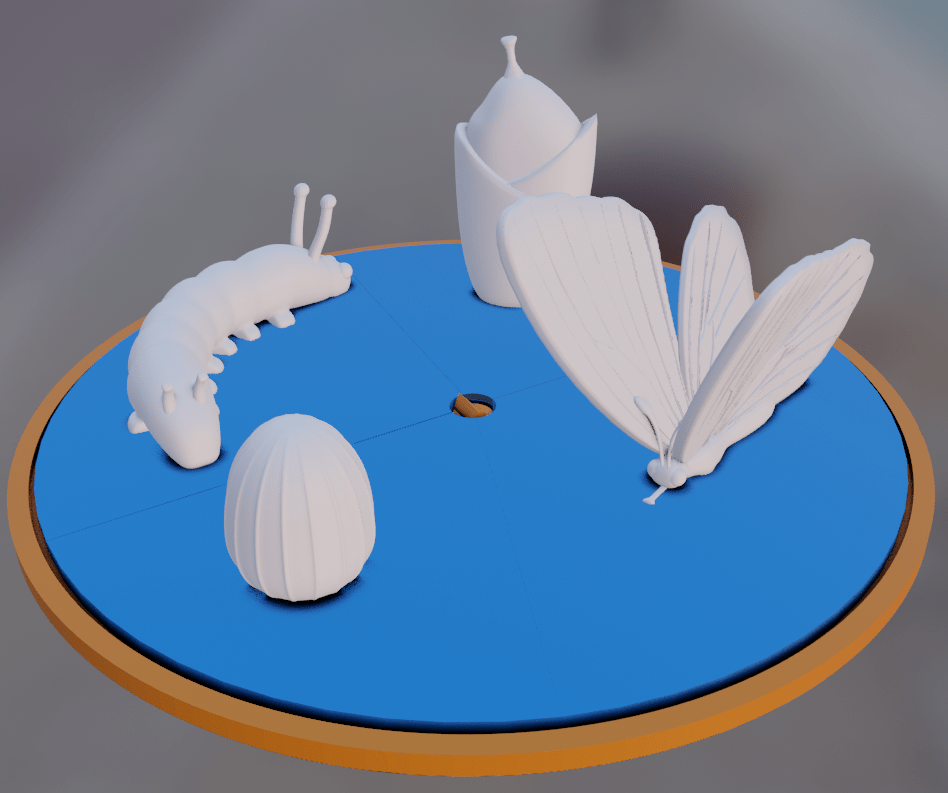 Butterfly – Life Cycle