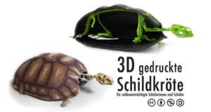 Schildkröte (turtle)