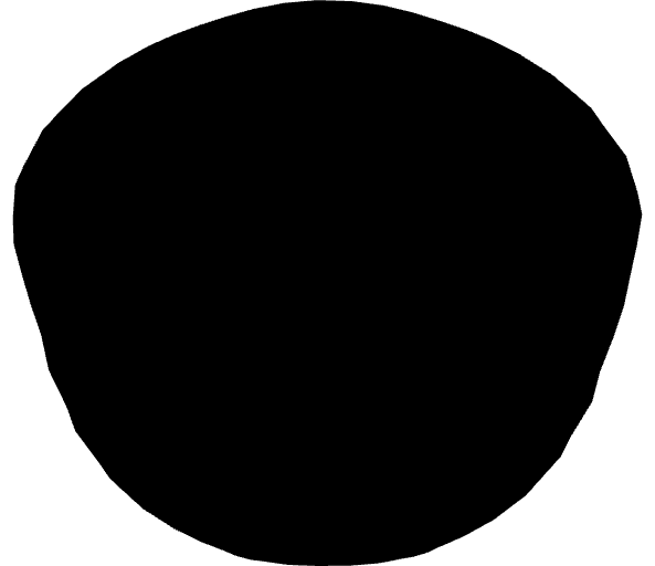 Detailed view of the cutout surface of a head, coloured in black, without window background of the application.