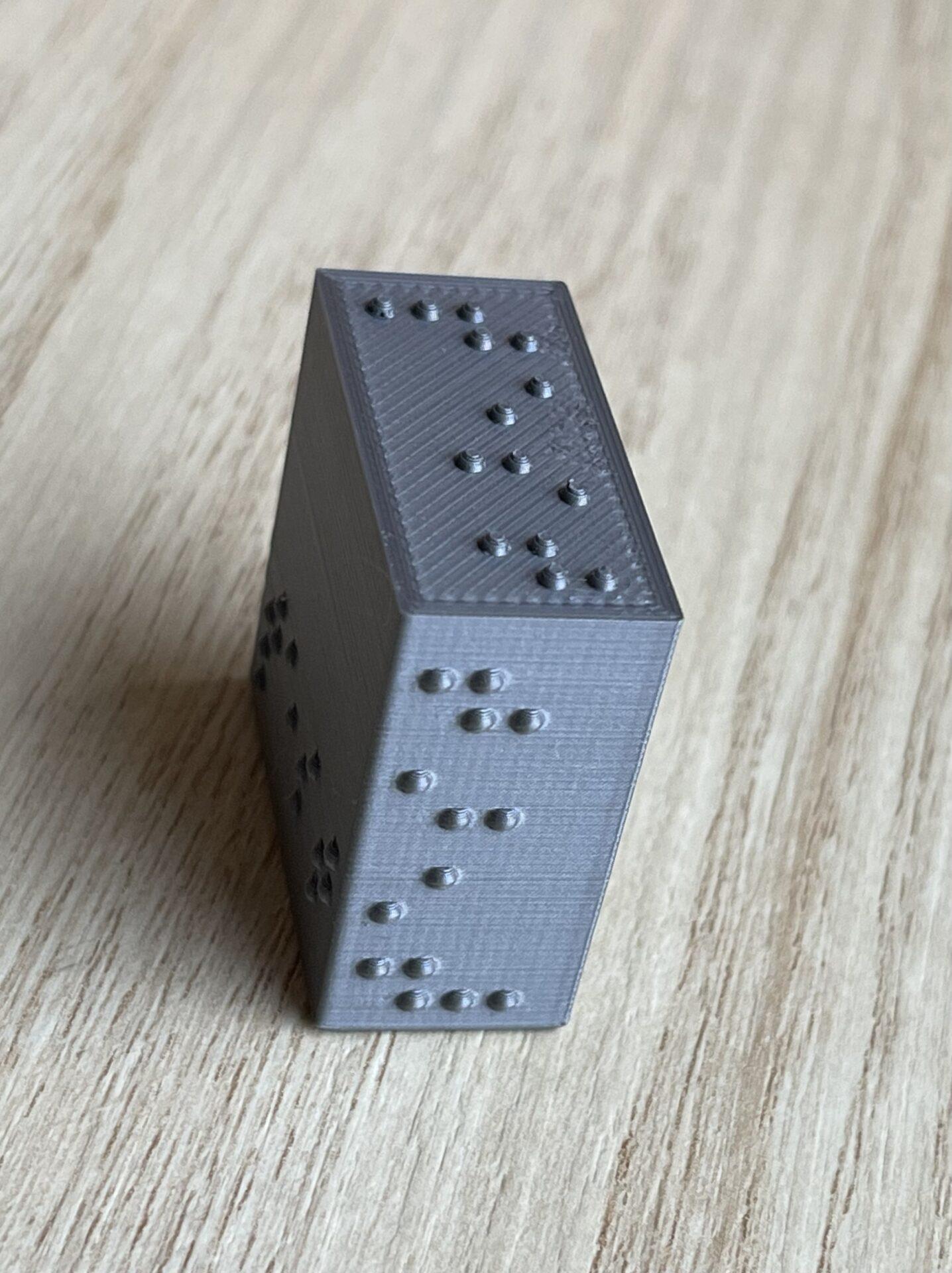 Test braille rectangular plates showing orientation of object during printing. All have the word “Test” in braille.