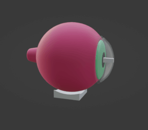 Eye 1