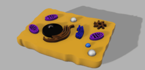 Animal Cell